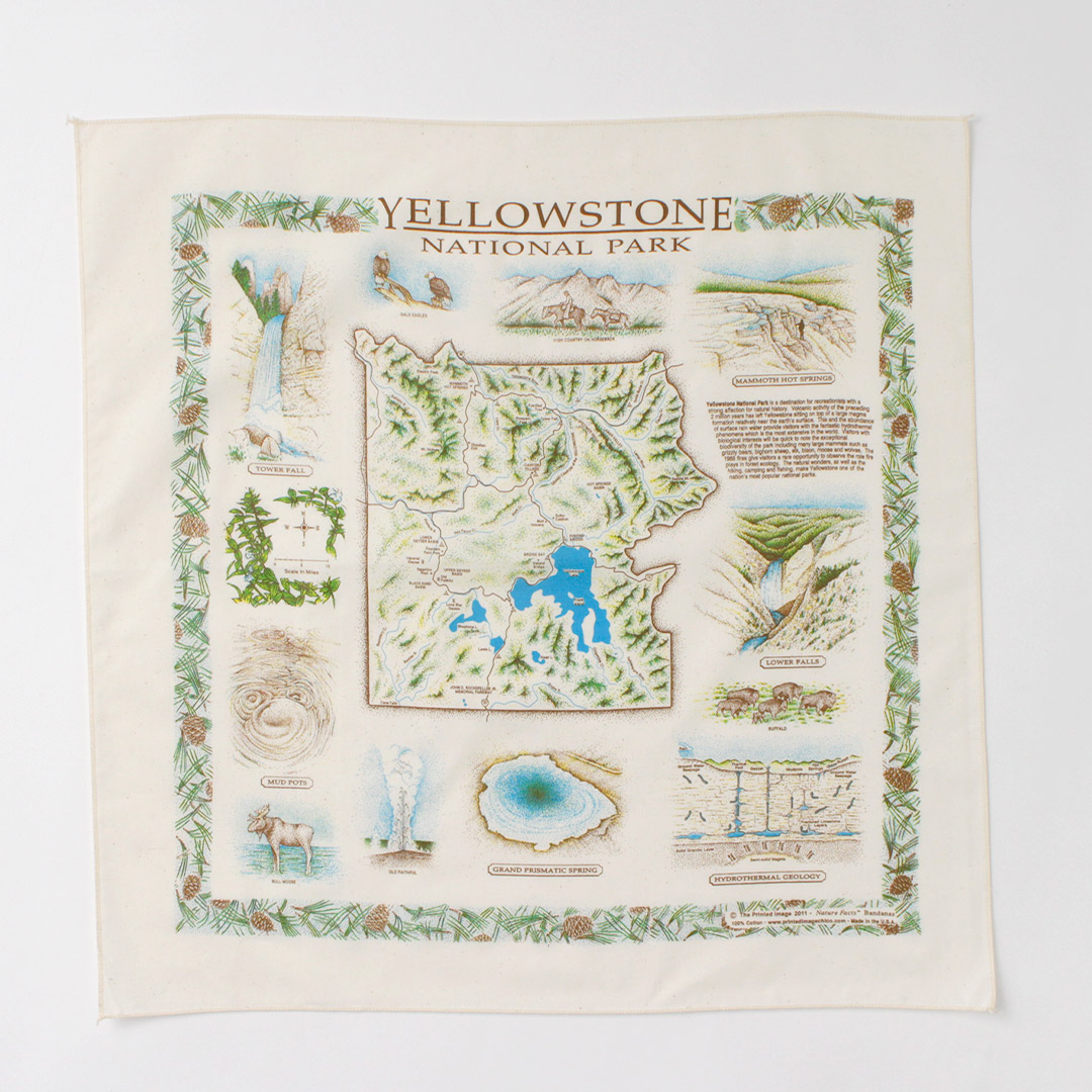 THE PRINTED IMAGE（ザ プリンテッドイメージ） ネイチャープリントバンダナ / ハンカチ 大判 54cm 55cm コットン 綿100 | The Printed Image | 05