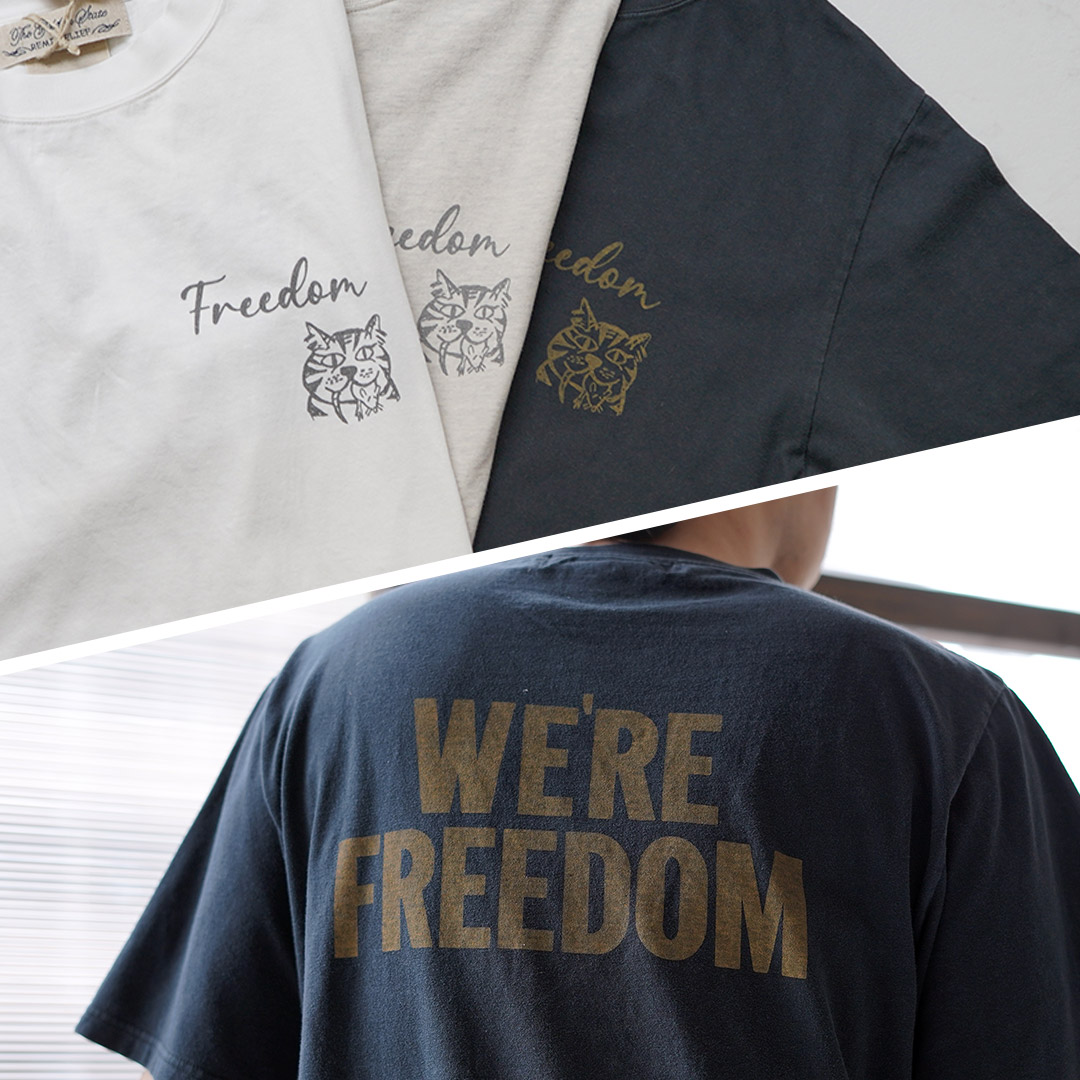 REMI RELIEF（レミレリーフ） HARD SP加工20/-天竺レギュラーTシャツ(FREEDOM) 日本製 / 半袖 メンズ | REMI RELIEF | 11
