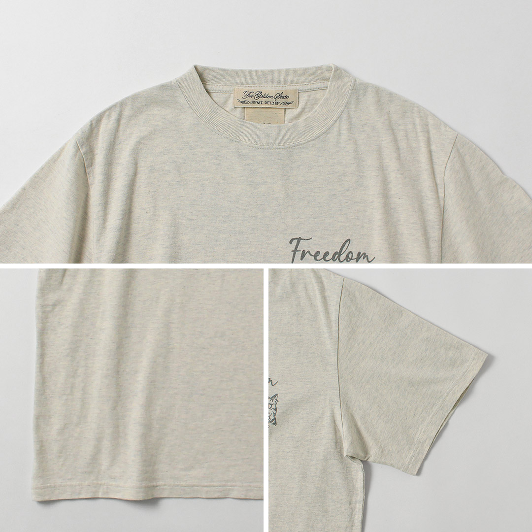 REMI RELIEF（レミレリーフ） HARD SP加工20/-天竺レギュラーTシャツ(FREEDOM) 日本製 / 半袖 メンズ | REMI RELIEF | 16