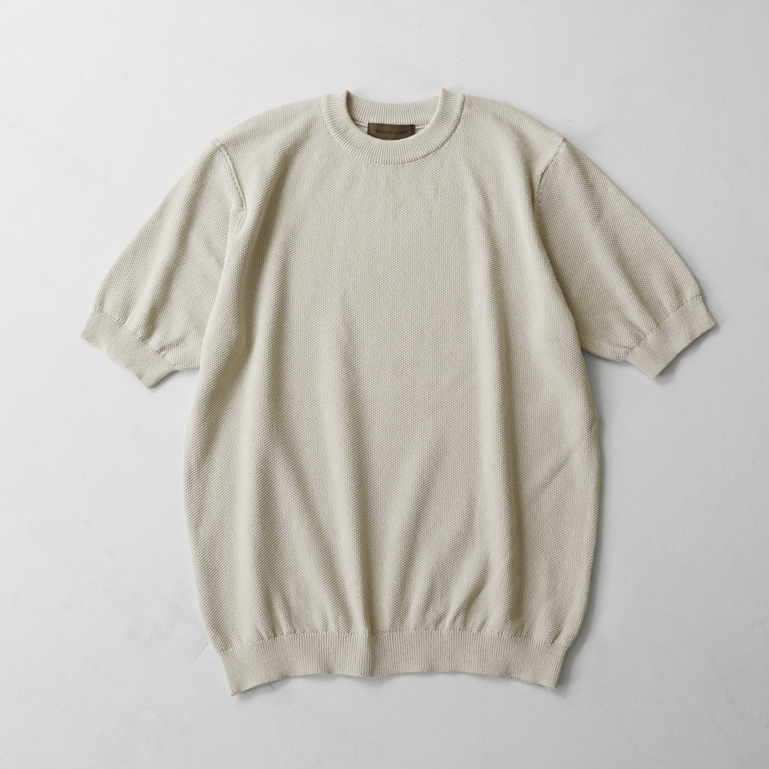 RINASCENTE（リナシェンテ） ハイブリッド ウォッシャブル 鹿の子クルーネック ニットTシャツ 日本製 / メンズ 半袖 サマーニット | Rinascente | 07