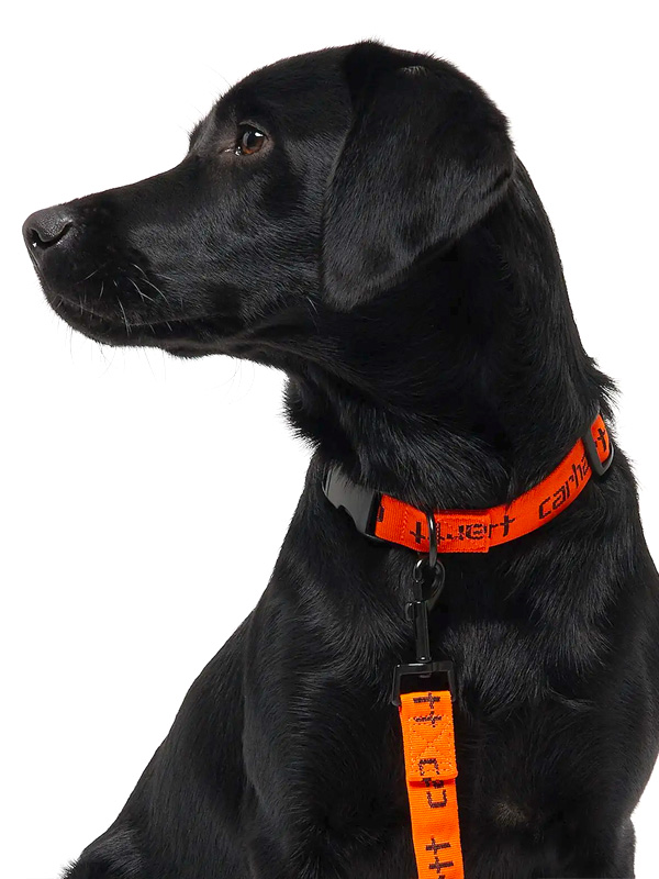 Carhartt WIP（カーハートワークインプログレス） カーハート 犬用