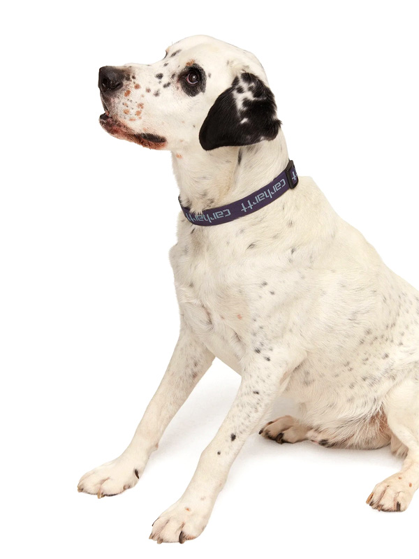 Carhartt WIP（カーハートワークインプログレス） カーハート 犬用