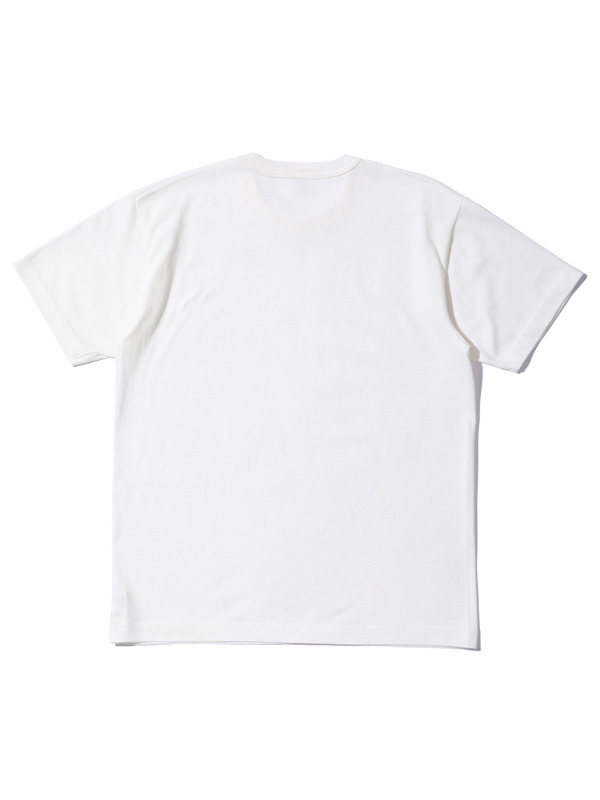 BUZZ RICKSON'S バズリクソンズ Tシャツ メンズ レディース 半袖 PACKAGE T-SHIRT GOVERNMENT ISSUE BR78960｜rodeobros｜04