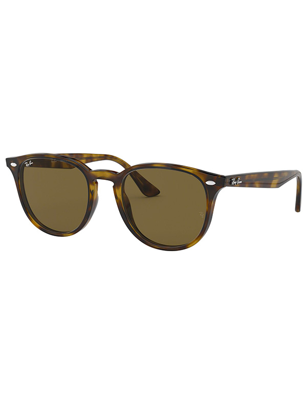 Ray-Banサングラス ブラウン　0RB4259F レイバン公式ストア】 Ray-Ban® RB4259 サングラス | ブラック X