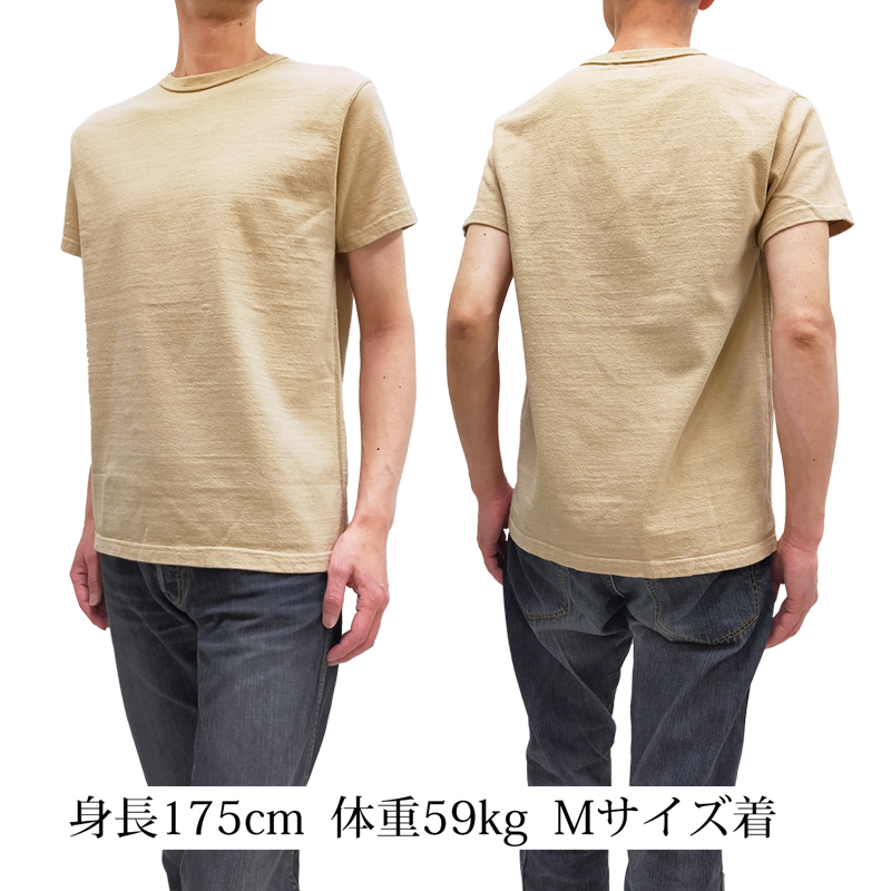 sjst-sc01-be-i4.jpg sjst-sc01-be-i4.jpg