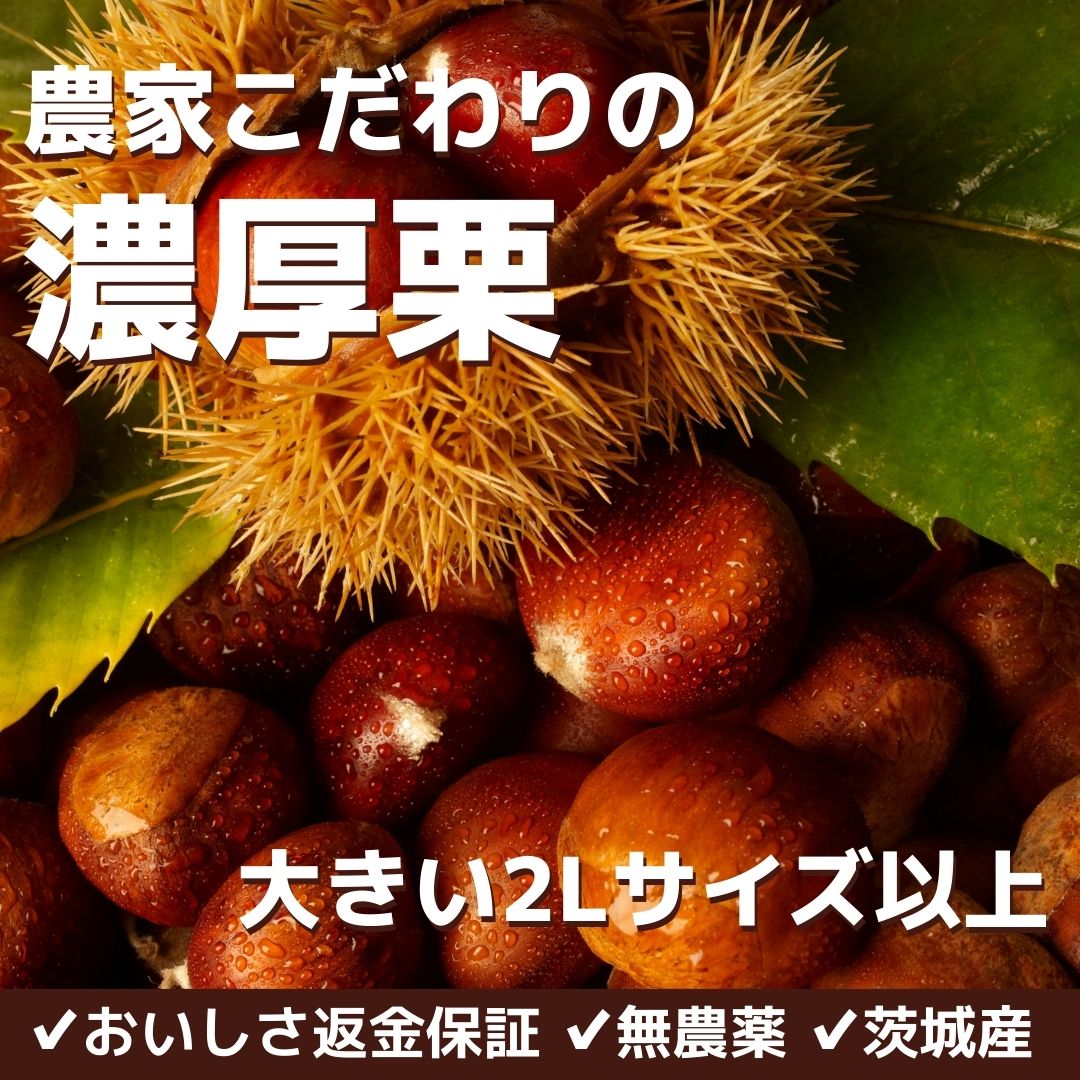 2024年ご予約受付開始。たっぷり2kg 無農薬 こだわり濃厚栗 2Lサイズ以上 生栗 返金保証付 茨城県産 農家直送 クール便 ギフト 贈答に :  nokokuri2kg2a : NIG ヤフーショッピング店 - 通販 - Yahoo!ショッピング