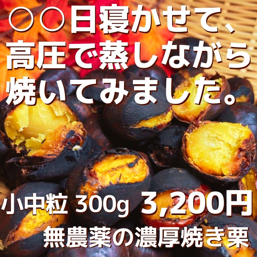 焼き栗300g