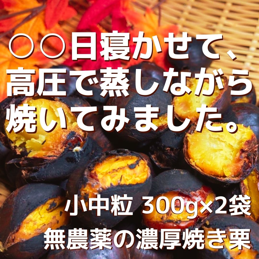 好評受付中 当季大流行 ○○日寝かせて 高圧で蒸し焼きにした無農薬のこだわり濃厚焼き栗 小中粒 300gx2袋 返金保証付 茨城県産 農家直送 クール便 ギフト 贈答に you-plaza.sakura.ne.jp you-plaza.sakura.ne.jp