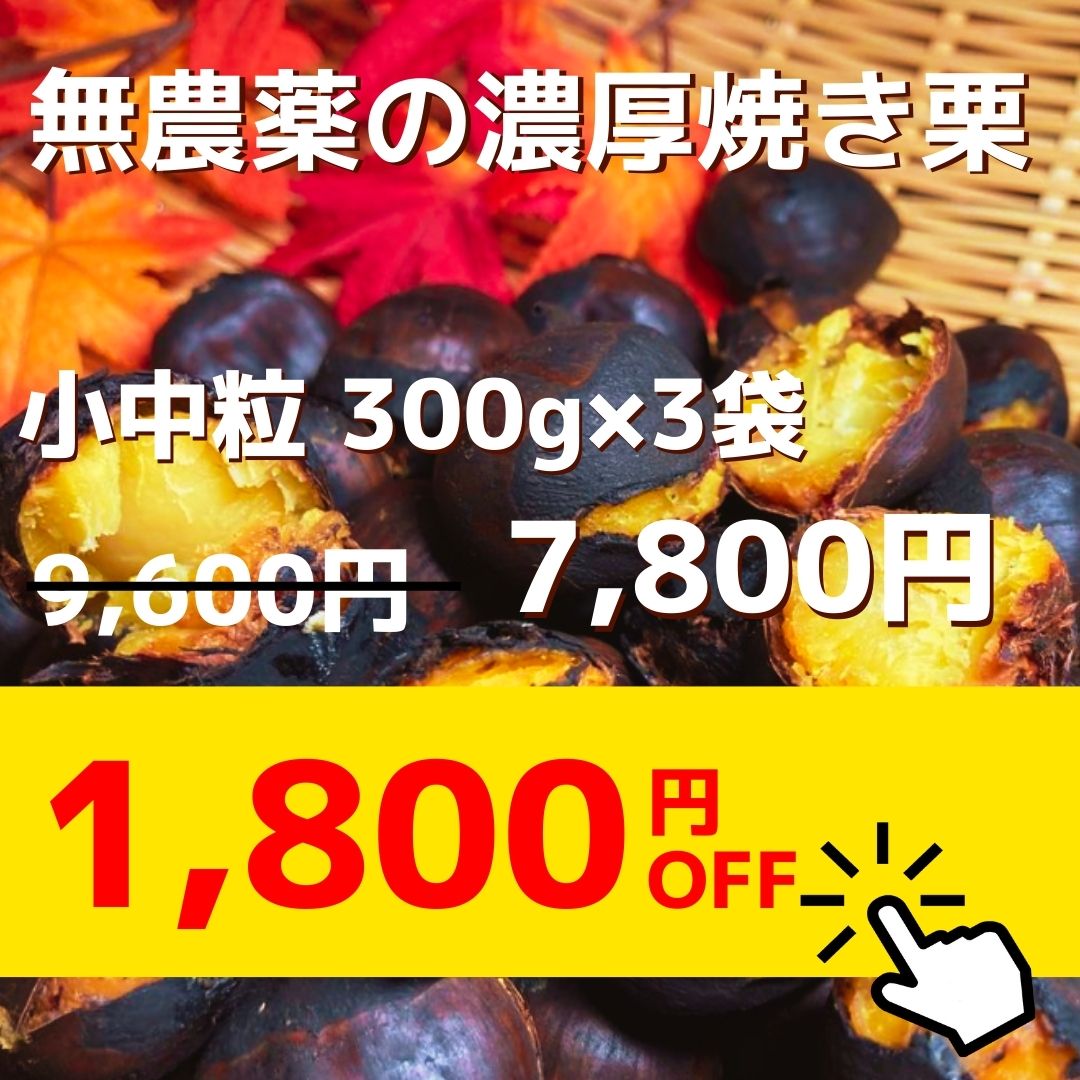 焼き栗900g