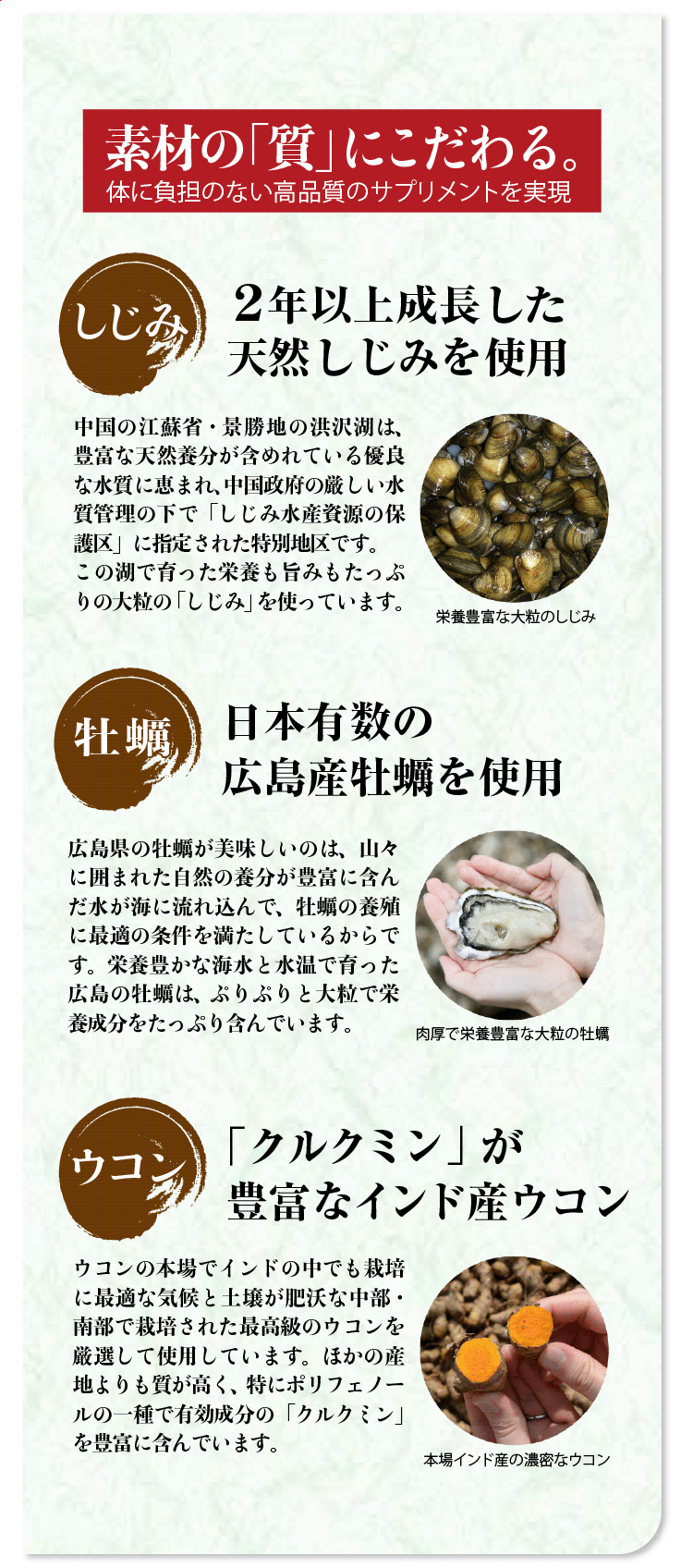しじみ+牡蠣+ウコン+オルニチン 4大成分が一度に摂れる 二日酔いサプリ 
