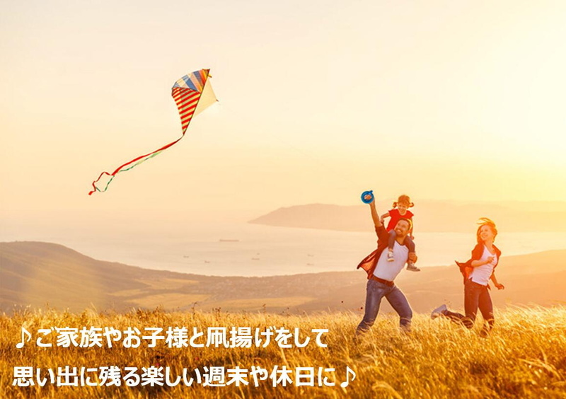 凧揚げ用 回転式 糸巻き リール ( 直径 18cm ) 凧糸 200M付 凧 凧揚げ用 回転式 糸巻き リール ( 直径 18cm ) 凧糸 200M付 凧