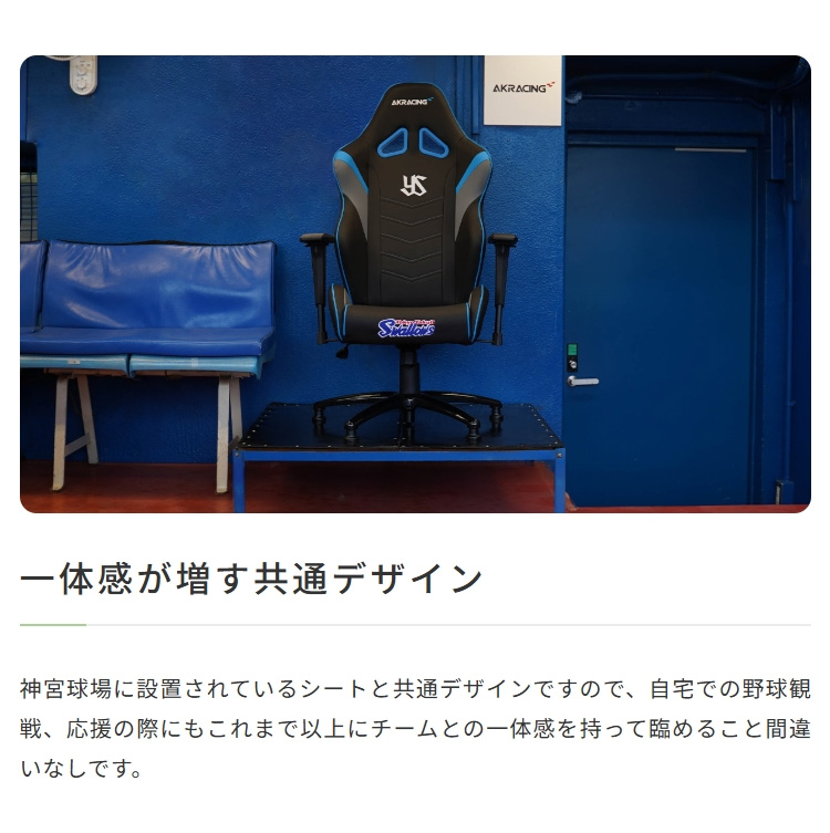 AKレーシング オーバーチュア 東京 ヤクルト...の詳細画像3