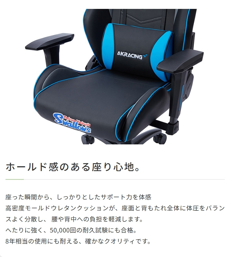 AKレーシング オーバーチュア 東京 ヤクルト...の詳細画像5