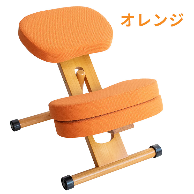 宮武製作所 プロポーションチェア 補助クッション付き 姿勢矯正 学習