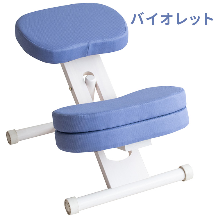 宮武製作所 プロポーションチェア 補助クッション付き 姿勢矯正 学習