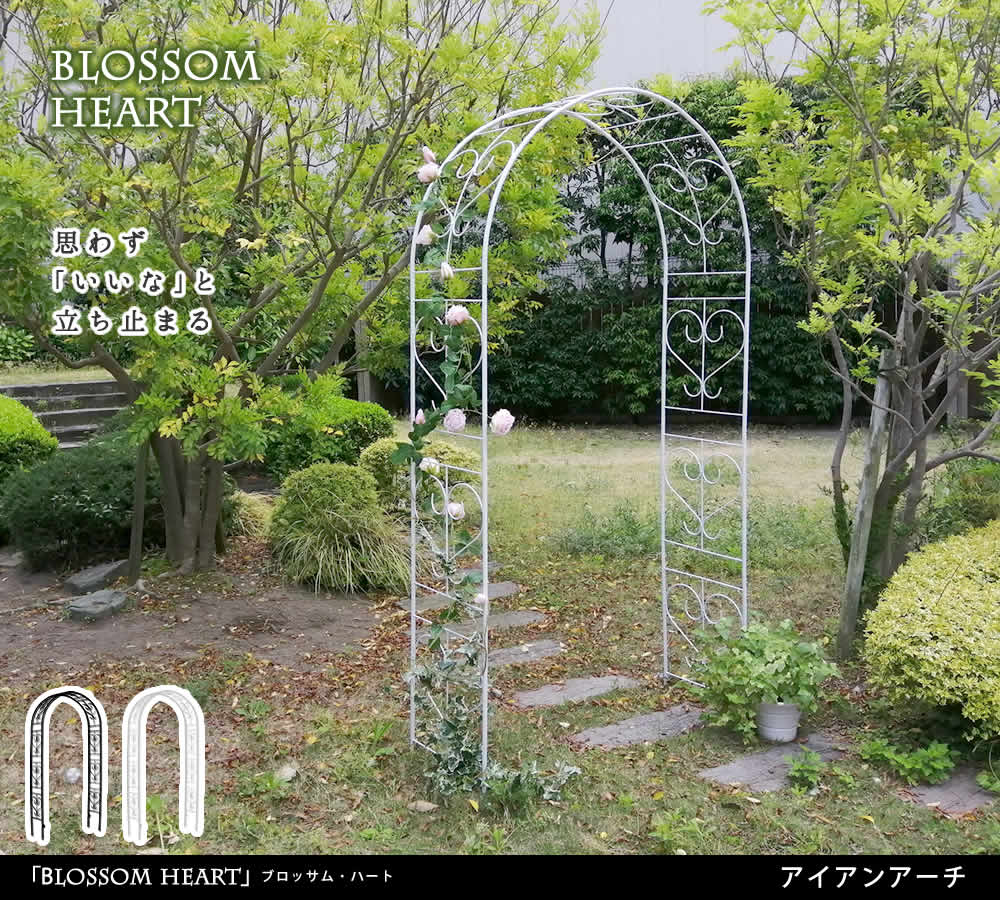 ガーデン アイアンアーチ ゲート おしゃれ 門 バラ 薔薇 蔦