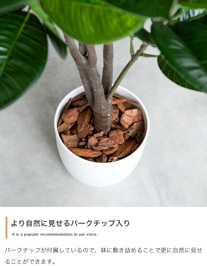 光触媒人工観葉植物 fake green パキラ (約)幅65cm×奥行45cm×高さ