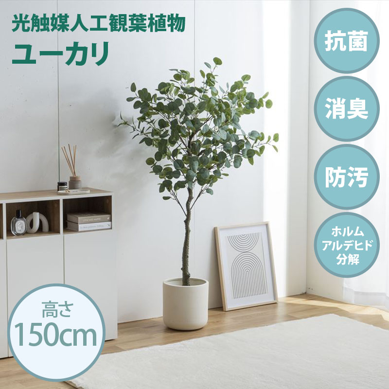 光触媒人工観葉植物 fake green ユーカリ (約)幅60cm×奥行45cm×高さ150cm 照明光で消臭・抗菌・防汚・ホルムアルデヒド分解の効果を発揮 フェイクグリーン