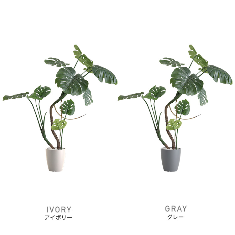 フェイクグリーン  モンステラ Mサイズ(150cm) 人工観葉植物 アーティフィシャルグリーン 鉢つき 化粧石の画像