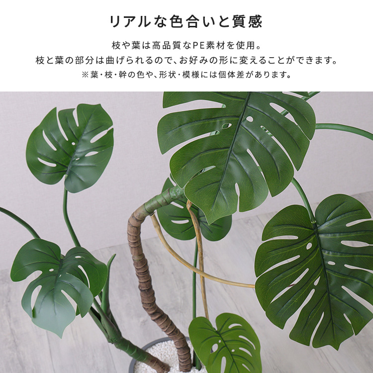 フェイクグリーン  モンステラ Mサイズ(150cm) 人工観葉植物 アーティフィシャルグリーン 鉢つき 化粧石の画像