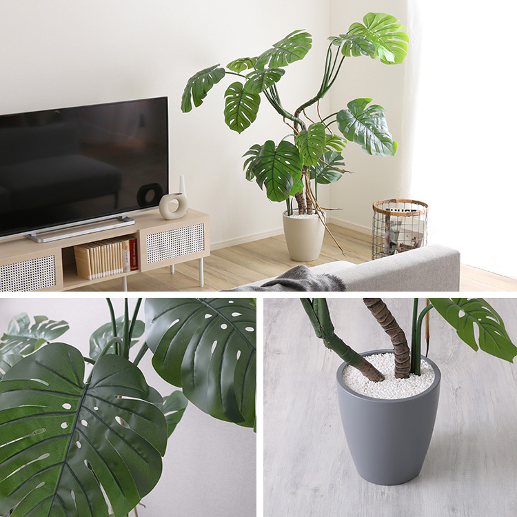 フェイクグリーン  モンステラ Mサイズ(150cm) 人工観葉植物 アーティフィシャルグリーン 鉢つき 化粧石の画像