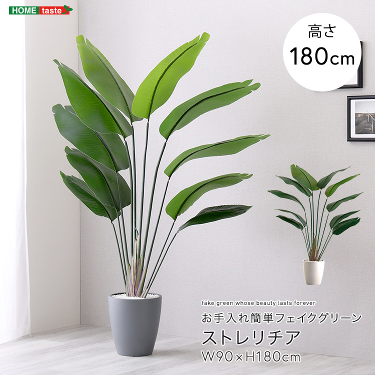 フェイクグリーン ストレリチア Lサイズ(180cm) 人工観葉植物 アーティフィシャルグリーン 鉢つき 化粧石
