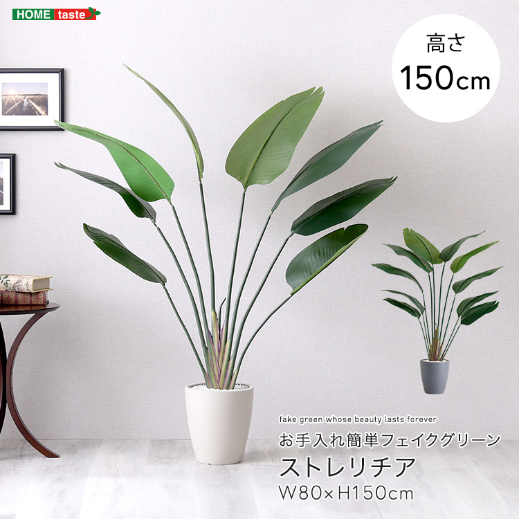 フェイクグリーン  ストレリチア Mサイズ(150cm) 人工観葉植物 アーティフィシャルグリーン 鉢つき 化粧石