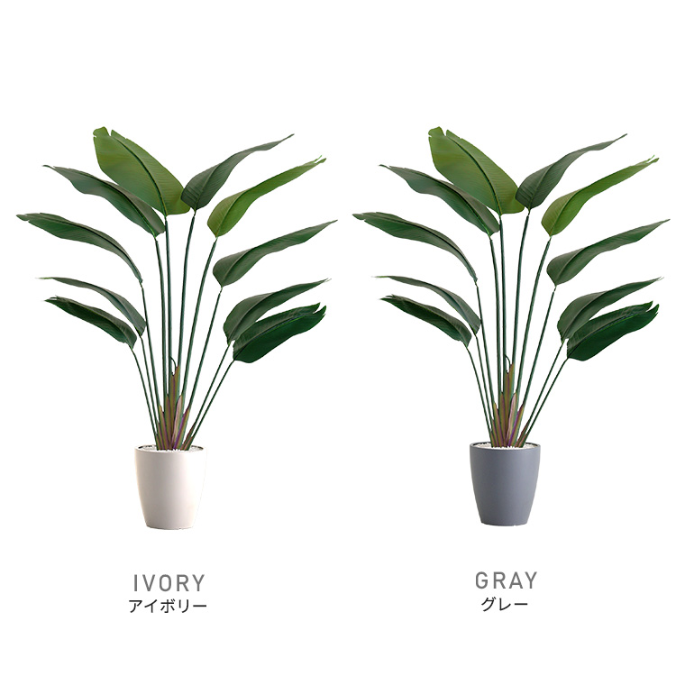 フェイクグリーン  ストレリチア Mサイズ(150cm) 人工観葉植物 アーティフィシャルグリーン 鉢つき 化粧石の画像