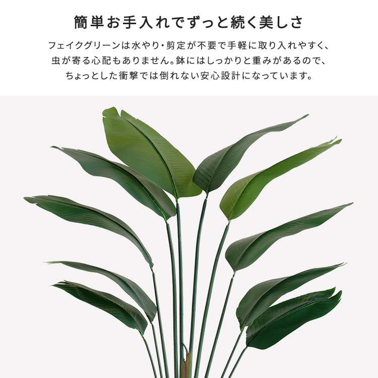 フェイクグリーン  ストレリチア Mサイズ(150cm) 人工観葉植物 アーティフィシャルグリーン 鉢つき 化粧石の画像