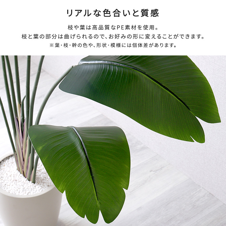 フェイクグリーン  ストレリチア Mサイズ(150cm) 人工観葉植物 アーティフィシャルグリーン 鉢つき 化粧石の画像