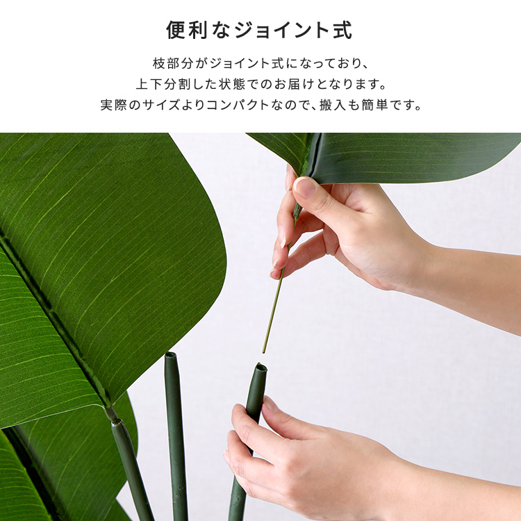 フェイクグリーン  ストレリチア Mサイズ(150cm) 人工観葉植物 アーティフィシャルグリーン 鉢つき 化粧石の画像