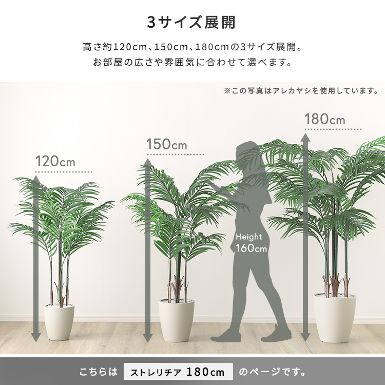 フェイクグリーン  ストレリチア Mサイズ(150cm) 人工観葉植物 アーティフィシャルグリーン 鉢つき 化粧石の画像