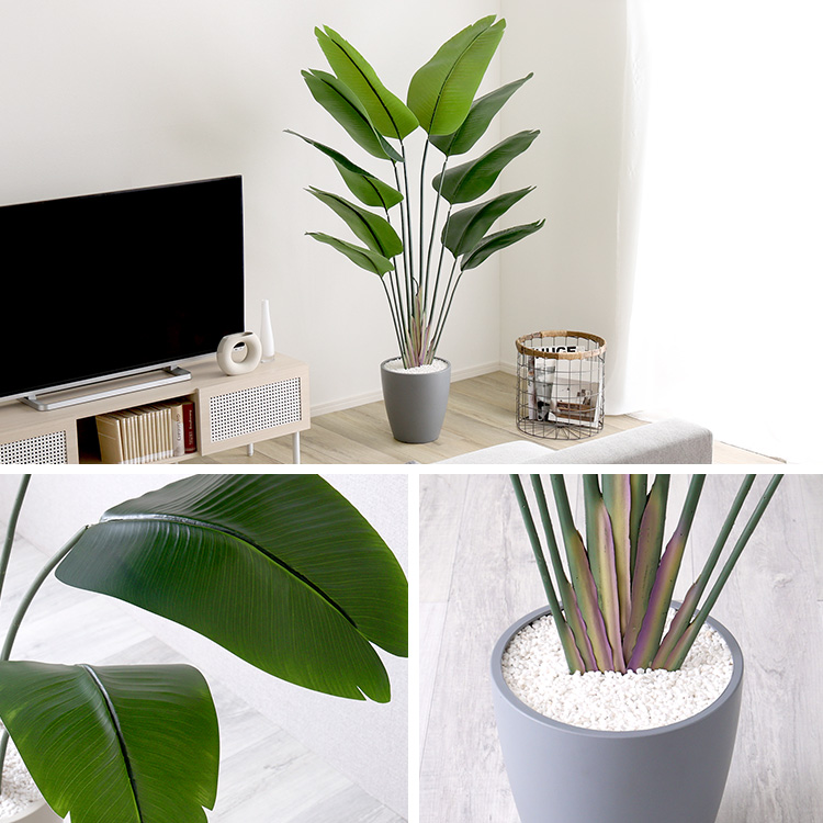 フェイクグリーン  ストレリチア Mサイズ(150cm) 人工観葉植物 アーティフィシャルグリーン 鉢つき 化粧石の画像