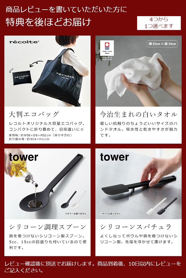 recolte（レコルト） 【特典付き】ブレンダー スムージー レシピ付き
