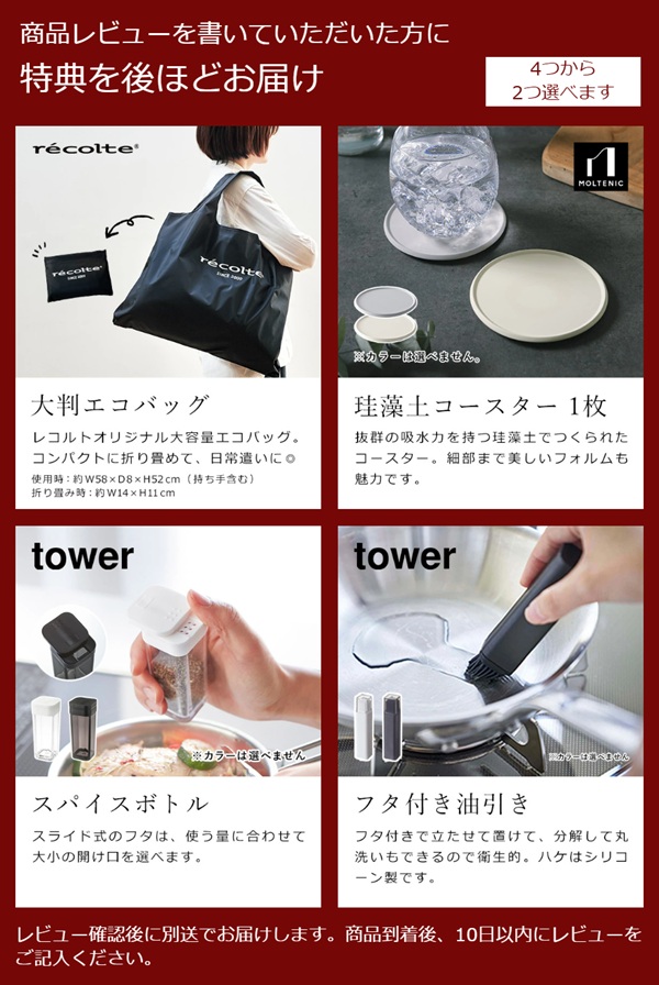 recolte（レコルト） 2大特典［ recolte Food Processor Combo フード