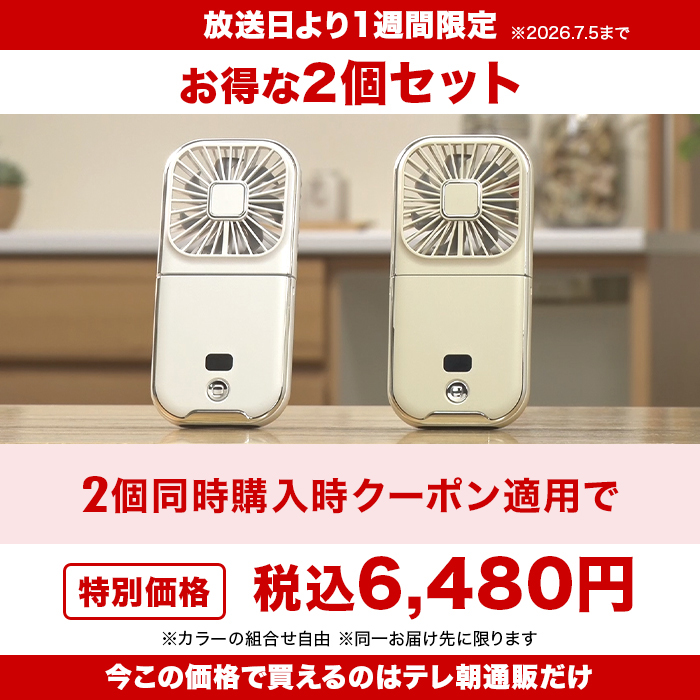 7月5日まで！2点同時購入クーポンで5480円引き！】5通り使える強風