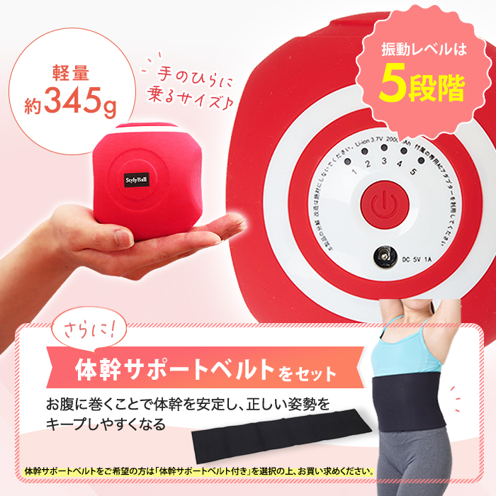 ルネサンス スポーツクラブがつくったスタイリーボール 通販