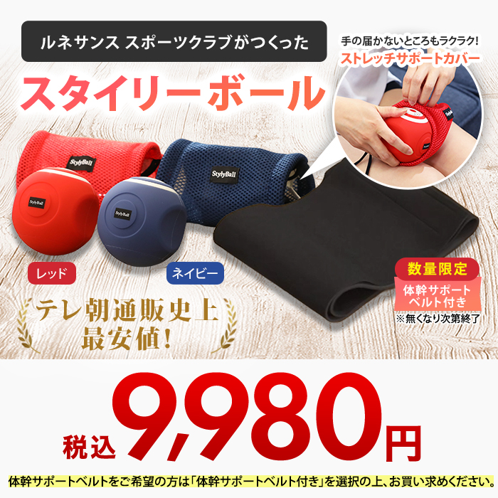 ルネサンス スポーツクラブがつくったスタイリーボール 通販