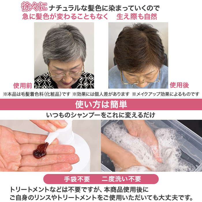 白髪用ブラックシャンプー特別2点セット じゅん散歩 テレビ朝日 テレ朝