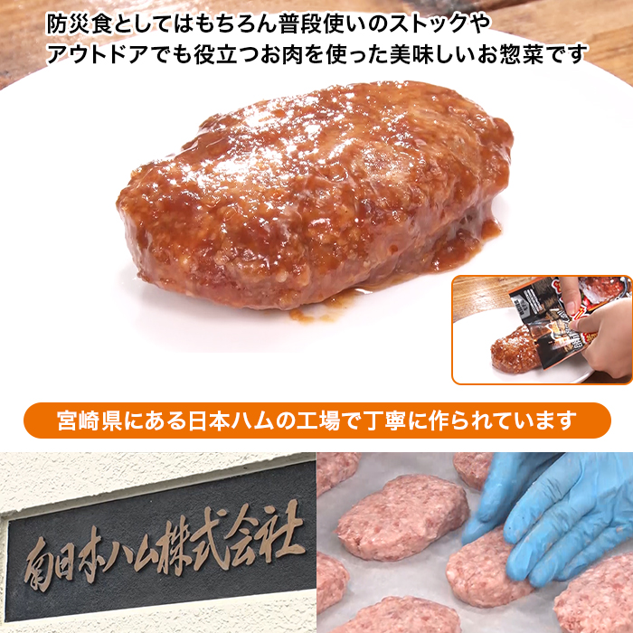 日本ハム 陸上自衛隊戦闘糧食モデル防災食 16食特別セット ニッポン