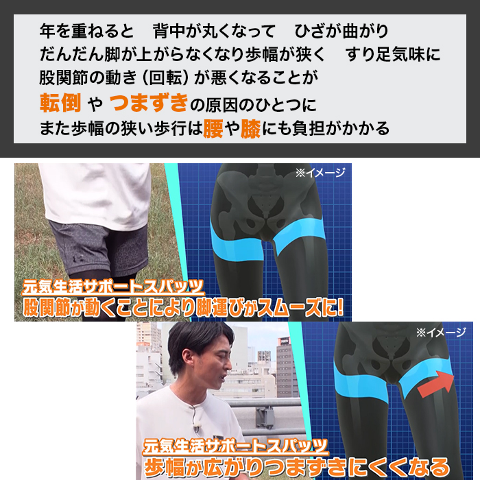 再春館製薬モデルパンツ　限定品 創部10周年記念ハーフパンツ – くまもと再春館製薬所