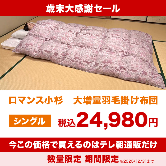 ロマンス小杉羽毛掛け布団Ｓ お得な2枚セット】ロマンス小杉 羽毛布団 シングル ダブル セミダブル