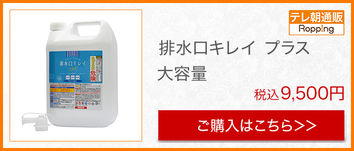 業務用カビ・ヌメリクリーナー【排水口キレイ プラス】 2.8L(2L×1本 