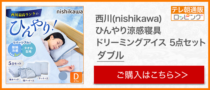 西川(nishikawa) ひんやり涼感寝具 ドリーミングアイス ケット