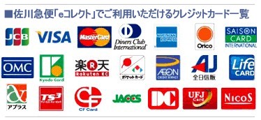 JCB VISA MasterCard DinersClub AmericanExpress Orico SAISON OMC Kyodo 楽天 ポケットカード AEON 全日信販 LifeCard アプラス TS3 CF JACCS DC UFJ NICOS