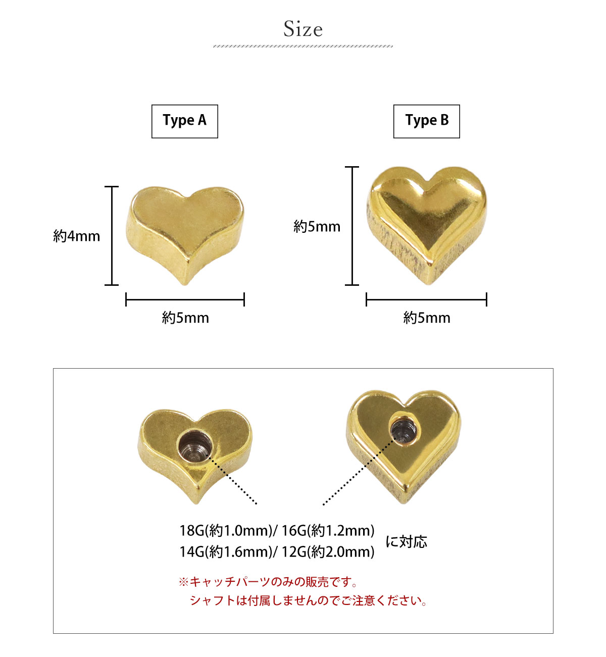 サイズ