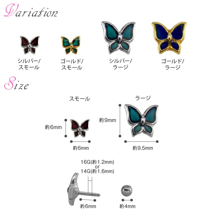 バリエーション・サイズ