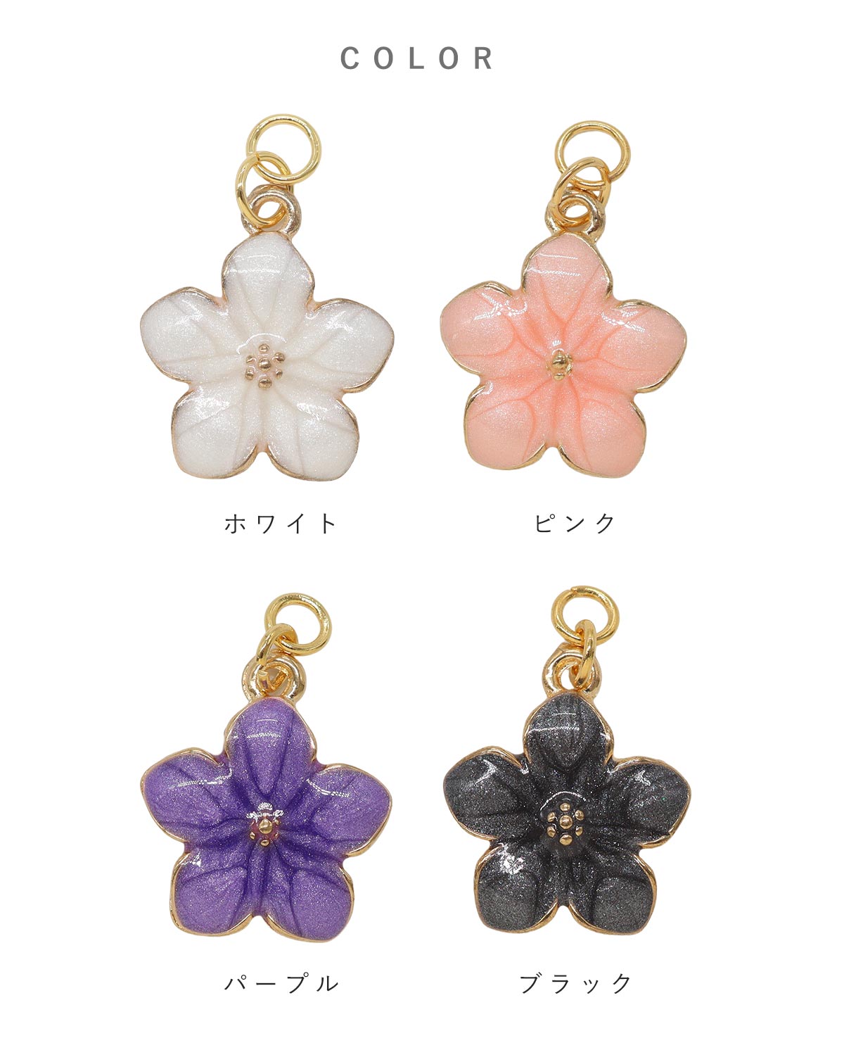 カラーバリエーション