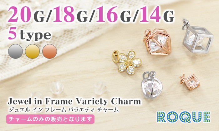 ボディピアス20G18G16G14Gジュエルインフレームバラエティチャーム