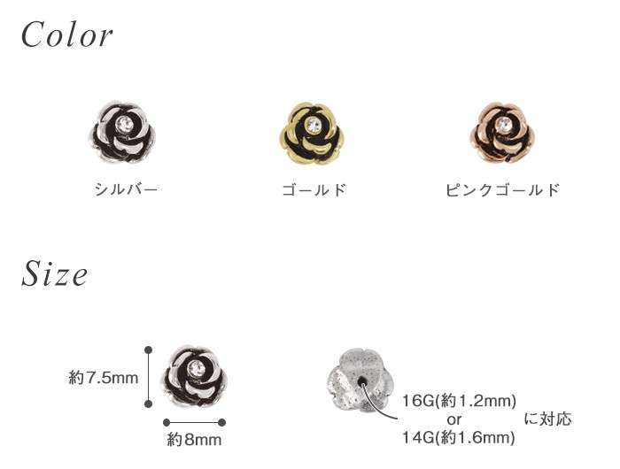 カラー・サイズ